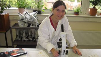 Celebrating Adult Learners’ Week With A 24+ Loan